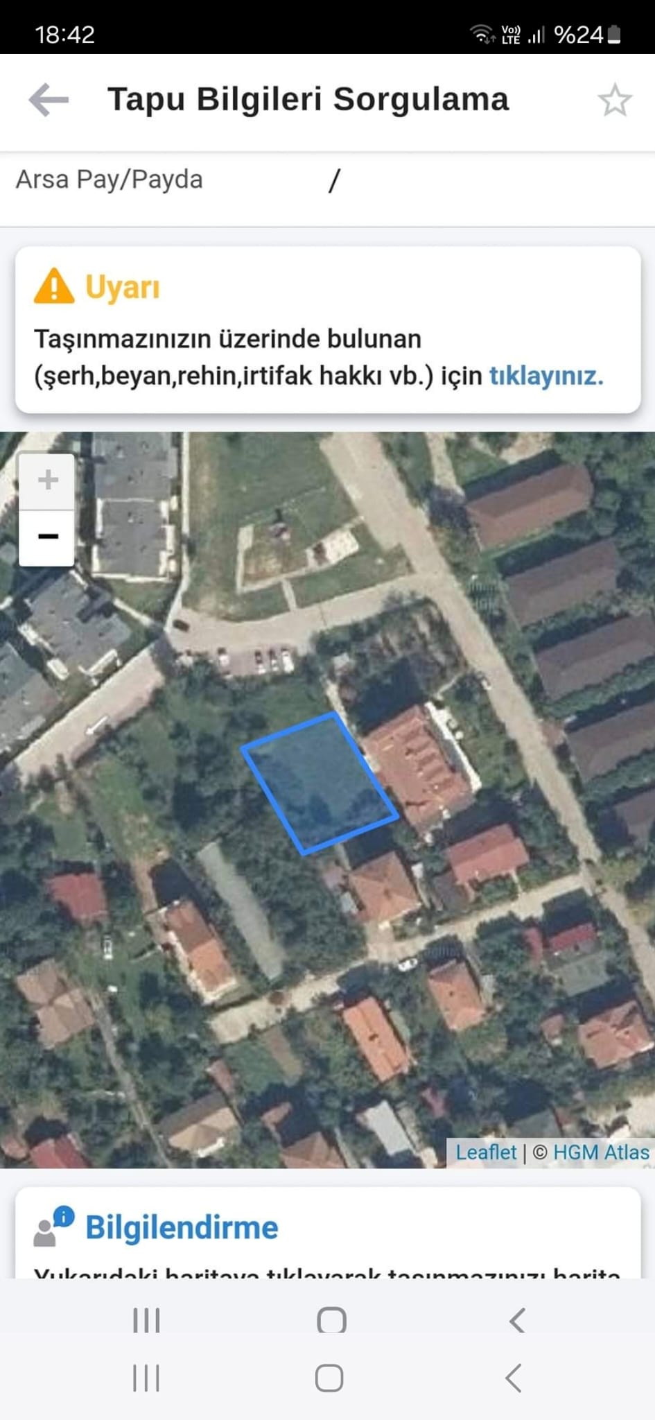 Fotoğraf